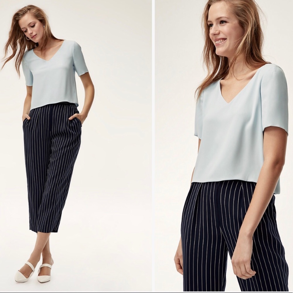 Aritzia Babaton Randy Blouse